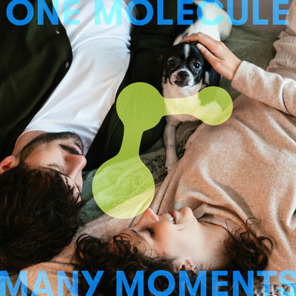 Sanitizer Disinfectant